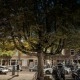 Pixel 10 Pro nachtmodus is niet veel anders (dit is net als bij de Pixel 9 Pro met 3 seconden belichting)