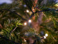 Woox R5151 Smart Christmas LED Lighting String - lampjes van dichterbij