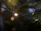 Woox R5151 Smart Christmas LED Lighting String - nog dichterbij