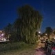 Foto gemaakt met Razr 50 Ultra avond 1x
