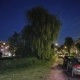 Foto gemaakt met Razr 60 Ultra avond 1x