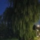 Foto gemaakt met Razr 60 Ultra avond 2x