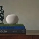 Google Home Speaker - Porcelain