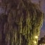 Fairphone 6 - 2x zoom in de avond (buiten)