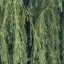 Fairphone 6 - 10x zoom overdag (buiten)