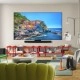 LG OLED C5