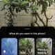 Pixel 10 Pro - Camera Coach
