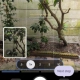 Pixel 10 Pro - Camera Coach