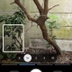 Pixel 10 Pro - Camera Coach