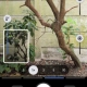 Pixel 10 Pro - Camera Coach