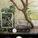 Pixel 10 Pro - Camera Coach