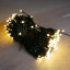 Woox R5151 Smart Christmas LED Lighting String - lampjes even proefdraaien. Ze werken!