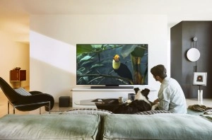 De Samsung S95F is dankzij zijn hoge helderheid en zeer effectieve anti-reflectie afwerking ook goed te gebruiken bij veel omgevingslicht.