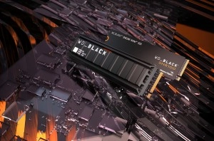 De Sandisk WD_BLACK SN8100 is een zeer snelle PCI-Express 5.0 solid state drive.