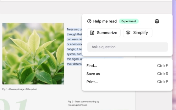 Google Simplify
