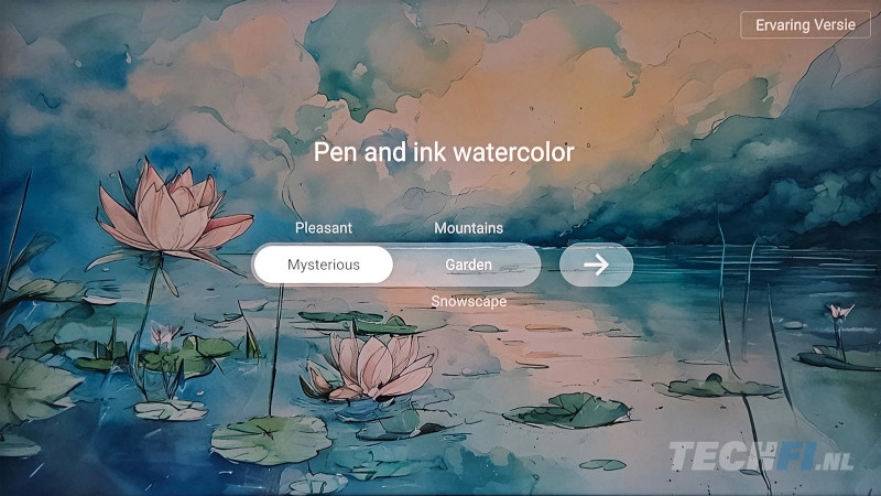 TCL Nxtframe 55A300Pro AI kunst