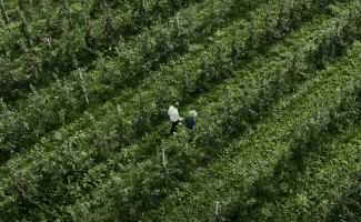 Pesticiden in voeding: waarom biologisch eten écht gezonder is