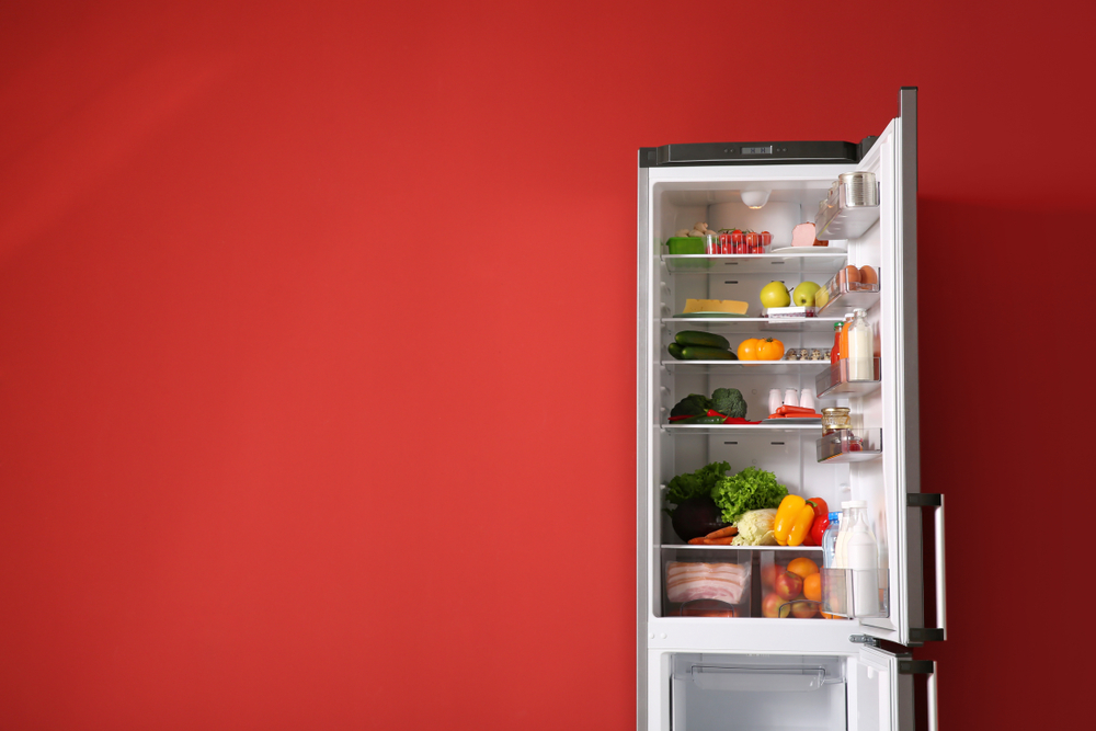 Broers en zussen Het eens zijn met schandaal De koelkast: voedsel bewaren en hoe deel je hem in? | Voeljelekker